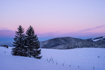 Abend Schwarzwald im Winter