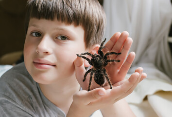 spider is crawling on arm. Simmwall Halloween. terrible female Tarantula.