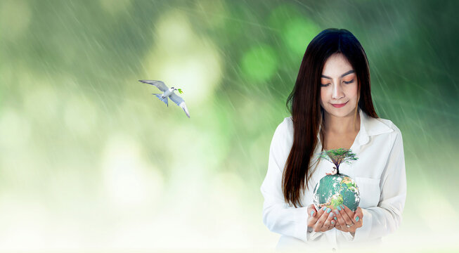 World environment day concept: Asian woman hands holding earth globe with big tree against blurred green forest with rain sunrise background. Elements of this image furnished by NASA