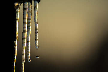 Melting icicles in the rays of the setting sun. The reflection of the horizon in falling water drops. Change in weather and temperature in winter.