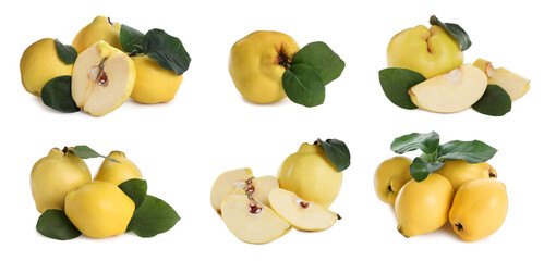 Set of delicious ripe quinces on white background. Banner design