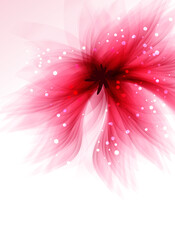 vector background with flower