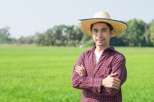 Asian Farmer Man Standing Cross Arms And Smile At A Green Rice Farm