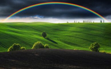 Obraz premium Scenic view of rainbow over green field