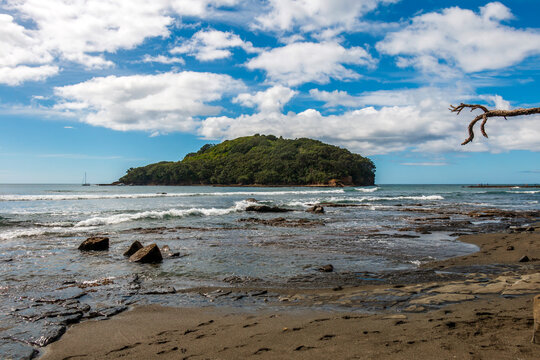 Goat Island Marine Reserve, New Zealand