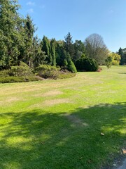 golf course in the morning