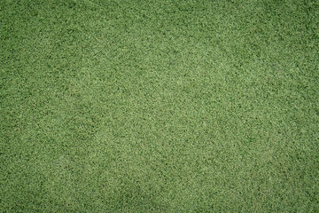 Top view green grass texture background