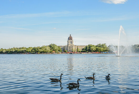 ducks on the lake. Regina. Saskatchewan