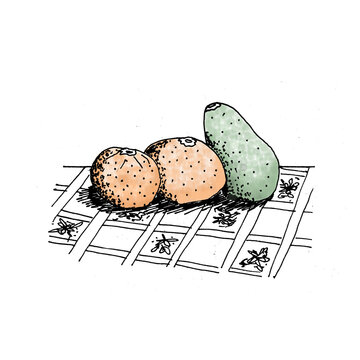 naranja y paltas