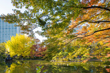 秋の日比谷公園