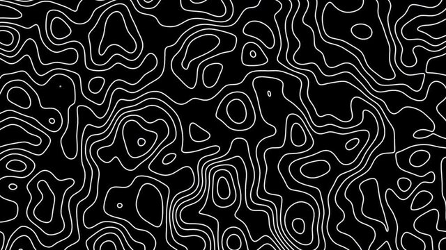 Topographic map moving fractal lines. Looped footage