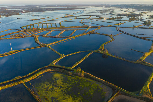 Aerial view of fish ponds and of salt evaporation ponds in Aveiro, Portugal