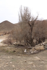 landscape view in Iran