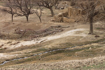 Iran desert landscape
