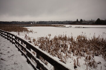 The boardwalk at Frink Conservation Area in Ontario, Canada during the winter season.	