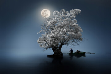fishing at night under the moon