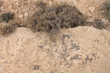 Iran desert landscape