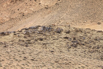 landscape in the desert