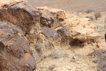 landscape in the desert