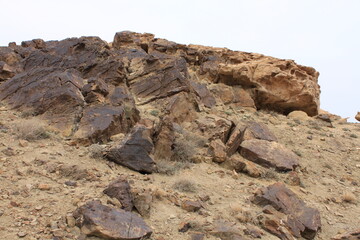 landscape in the desert