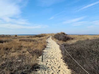Beach path