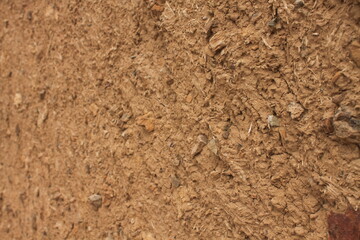 desert nature