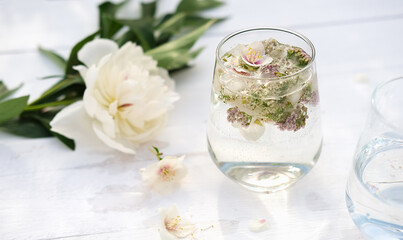  glass with floral infused drink. non alcohol mocktail for summer refresh. outdoors summer party. flower ice cubes in a glass. summer herbal drink concept. 