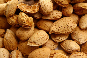 Shell raw almonds are delicious and healthy for snacking