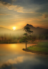 beautiful sunlight in early morning
