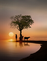 silhouette of a person standing under a tree at sunset
