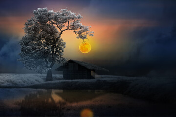 little house under the tree in the night