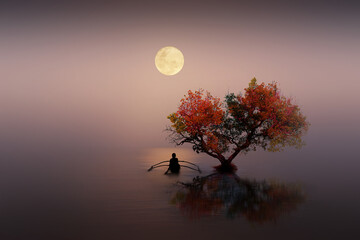 Fishing in the night