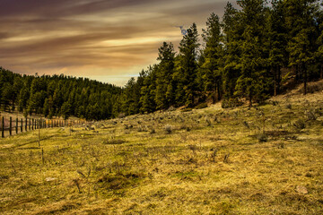 Northern New Mexico Mountains.
