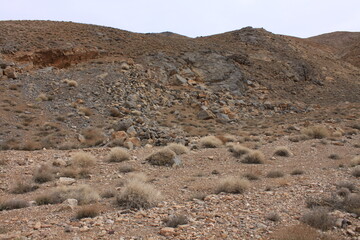 desert landscape