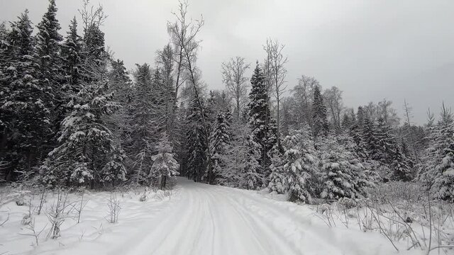 POV trip by off-road car through the winter forest - a look back. Beautiful landscape of snowy forest in winter. Travel by car in winter