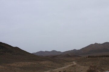 landscape in the desert
