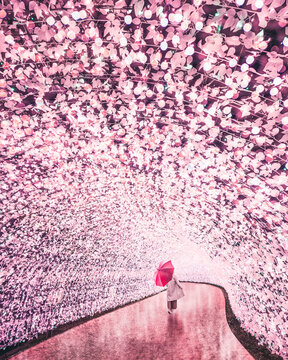 Person holding an umbrella in pink floral tunnel