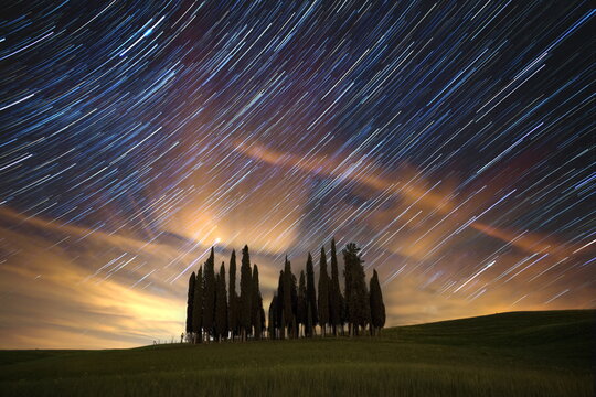 Time-lapse of stars in sky above cluster of pine trees on green grass field during nighttime