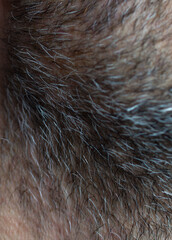 Close-up of an unshaven male face. Selective close-up macro photography with a blurry background