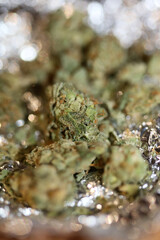 Medical marihuana super lemon kush close up modern background high quality prints