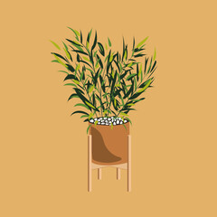 Home plan hand draw in boho style