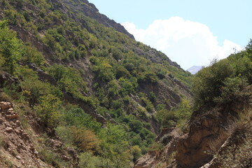 Caspian Hyrcanian mixed forests