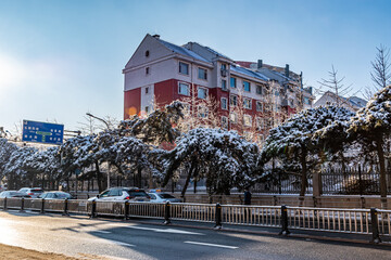 Winter landscape of streets in Changchun, China after snow