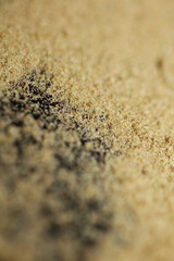 Pure cannabis crystals close up medical grinder thc modern high quality prints