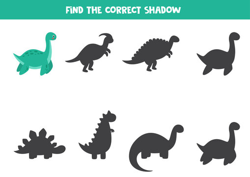 Find the right shadow of cute cartoon plesiosaurus.