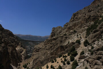 Caspian Hyrcanian mixed forests