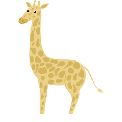 Obraz premium Giraffe full-length isolated on white background. Cute character from safari in pattern spots.
