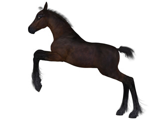 3d render of a young foal