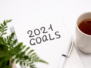 Plant, pen and notepad with 2021 goals inscription on white background, new year concept close up