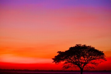 Fototapeta na wymiar silhouette at sunset